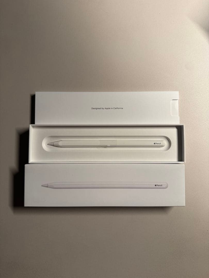 【美品】apple iPadPro 11 M1 256GB cellular