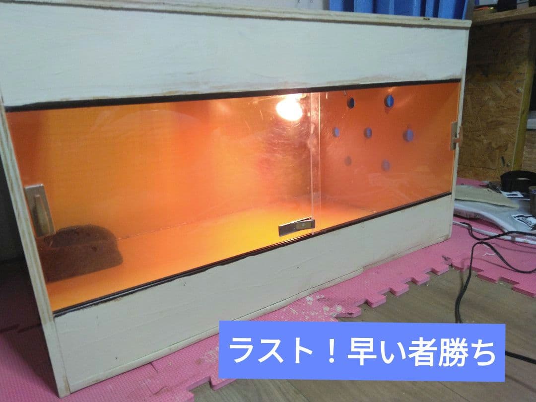 ラスト！特大木製爬虫類ケージ 内蔵ライト付き