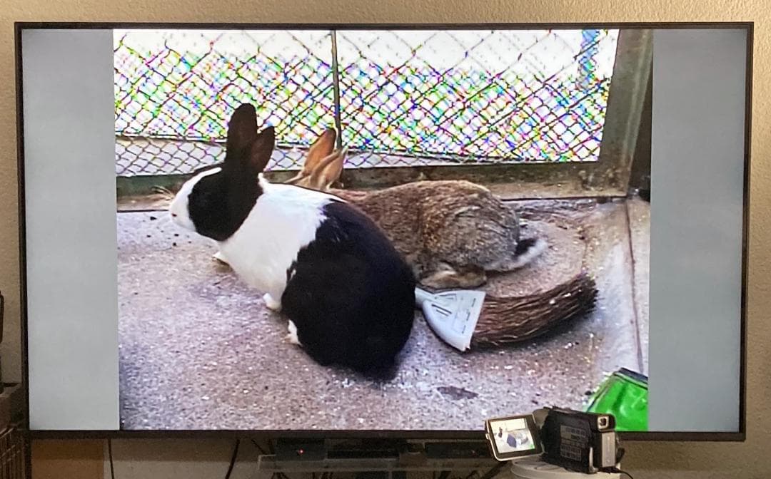 SONY デジタルビデオカメラレコーダー DCR-TRV17