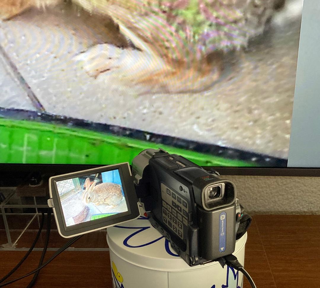 SONY デジタルビデオカメラレコーダー DCR-TRV17