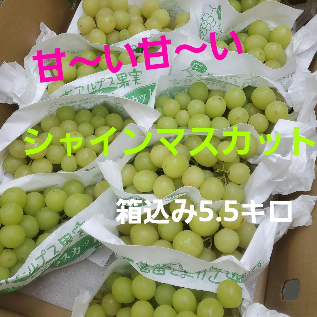 3️⃣ 山梨県産 シャインマスカット １１房入り 箱込み5.5キロ