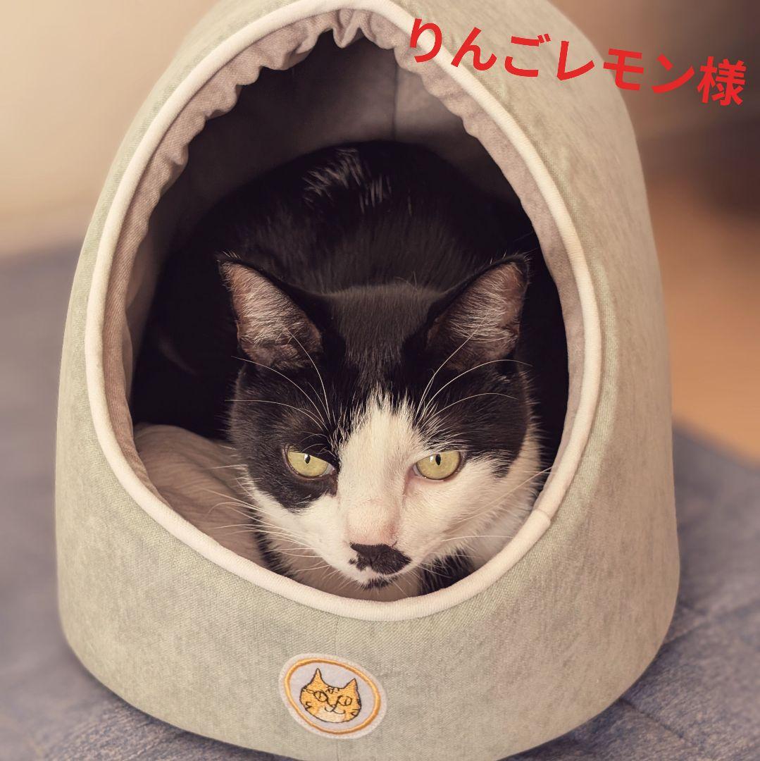 りんごレモン様