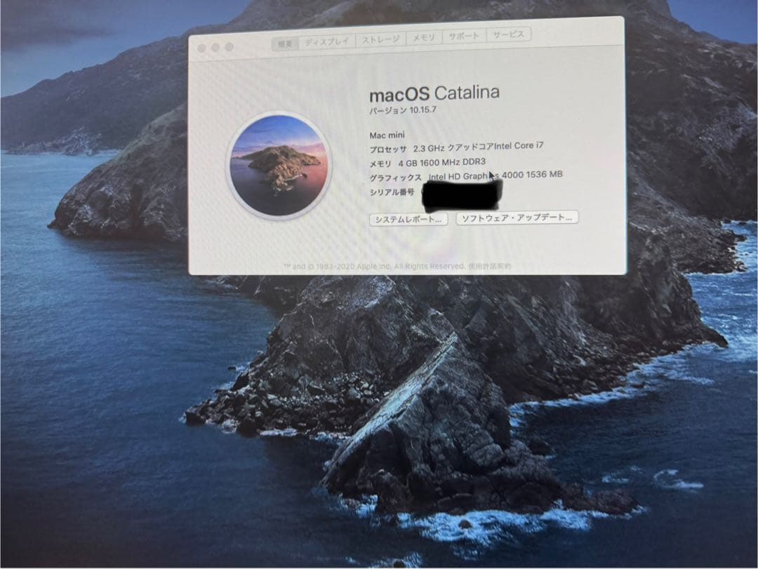 Mac mini A1347 トラックパッドキーボードVGAアダプタ付