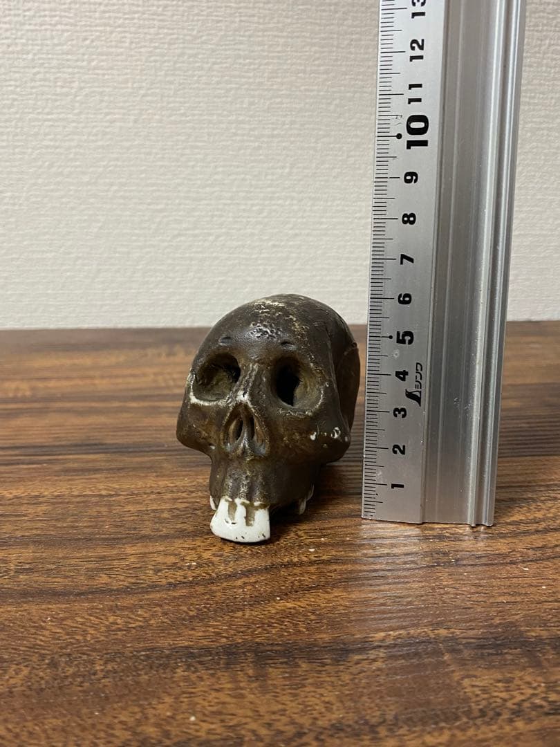 骨董髑髏陶器製スカル ダークブラウン