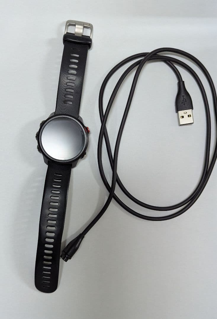 Garmin245music/ガーミン245ミュージック