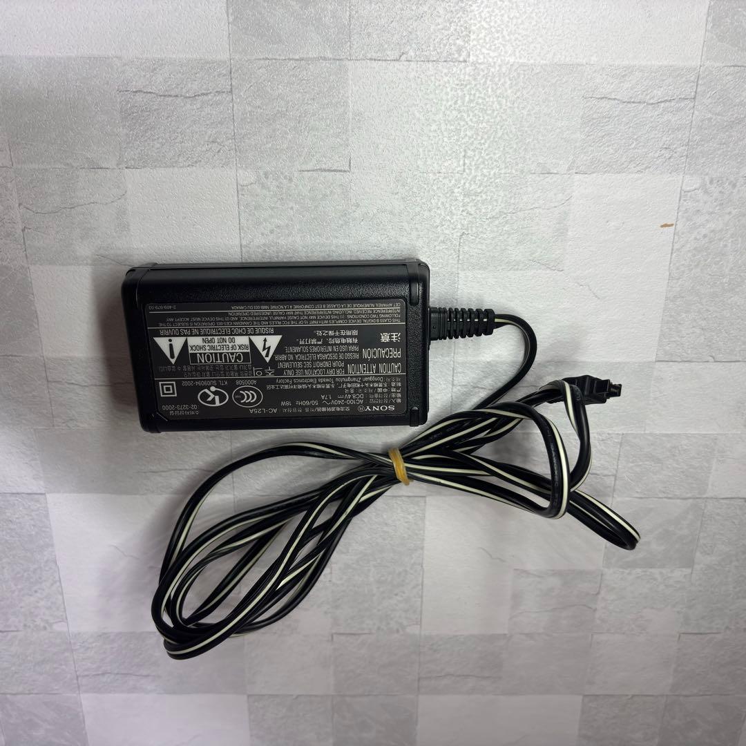 C1085 SONY ハンディカム DCR SR100