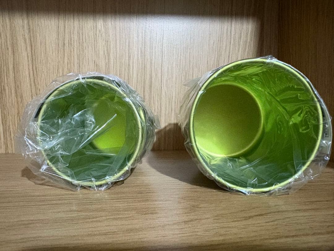 スノーピーク　ランドステーション嵐山　限定商品　220 300