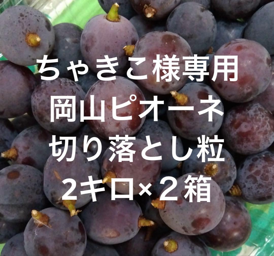 ちゃきこ　岡山ピオーネ　切り落とし粒2キロ×２箱