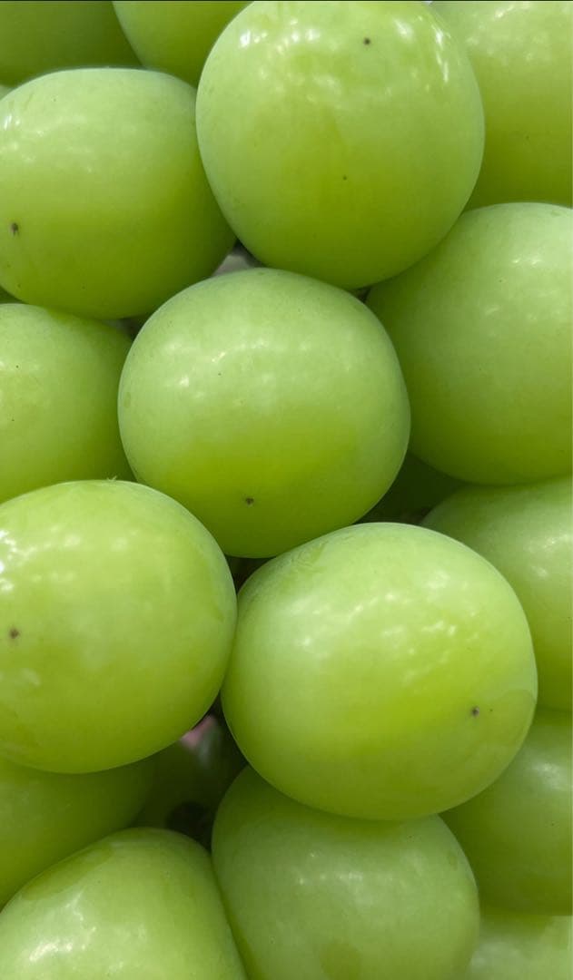 シロちゃんさん専用