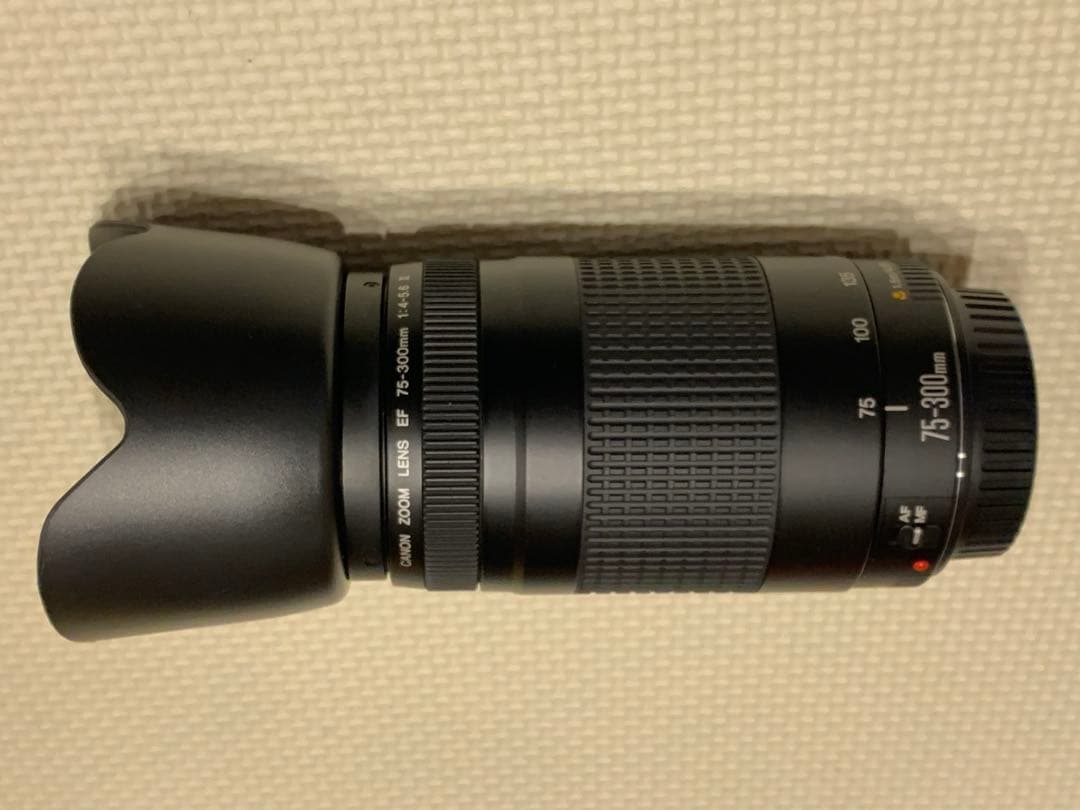 Canon EF 75-300mm F4-5.6 II フード付望遠