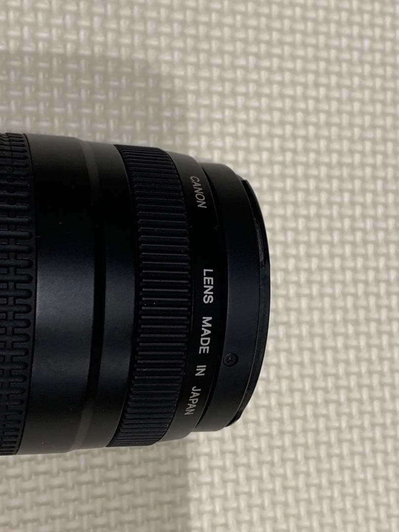 Canon EF 75-300mm F4-5.6 II フード付望遠