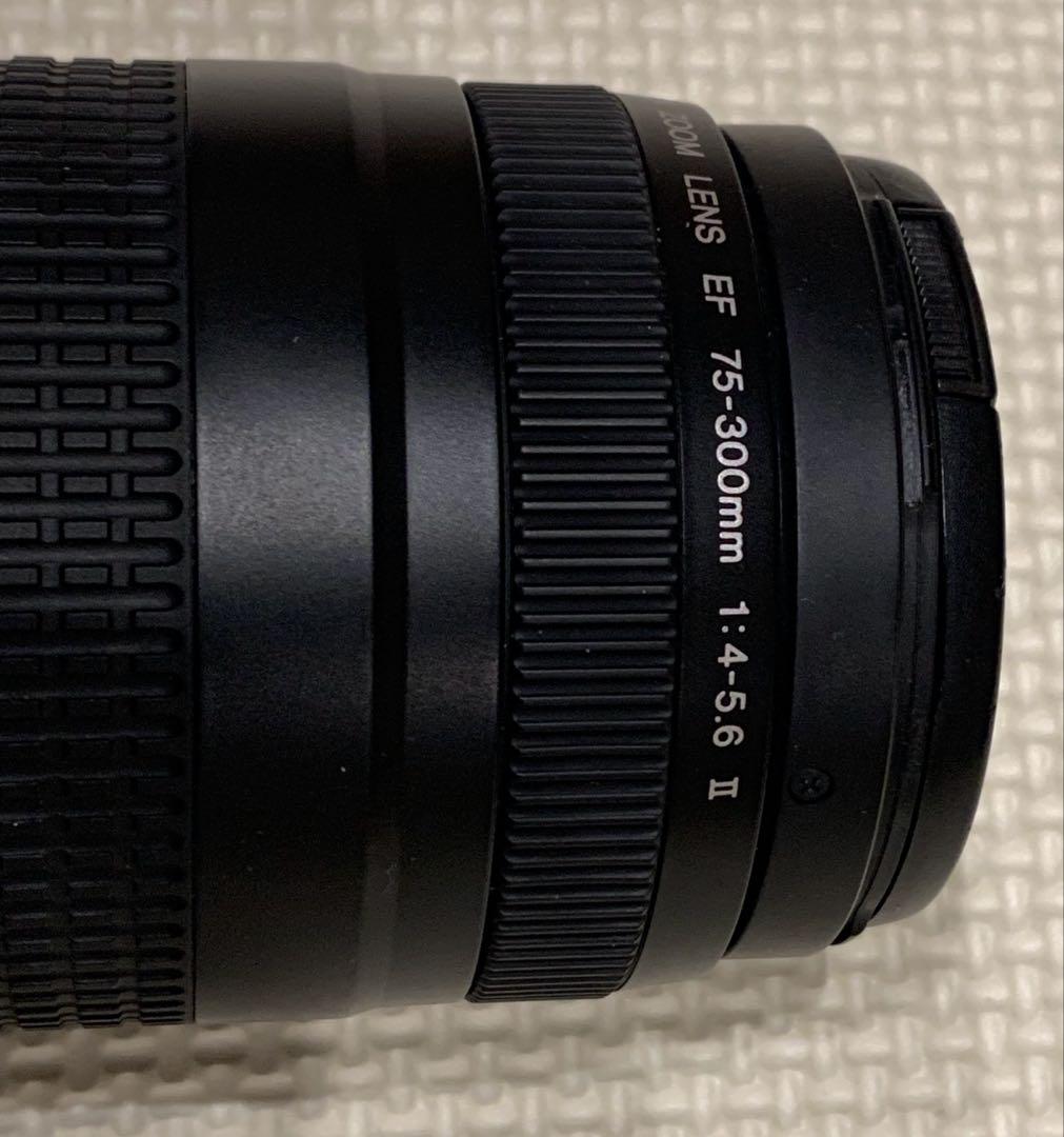 Canon EF 75-300mm F4-5.6 II フード付望遠
