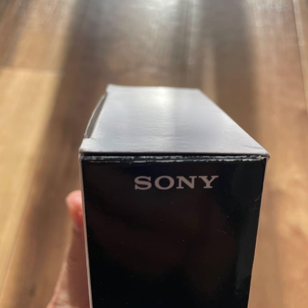 SONY NW-A55 レッド　ソニー　ウォークマン、社外品ケース、予備ケーブル