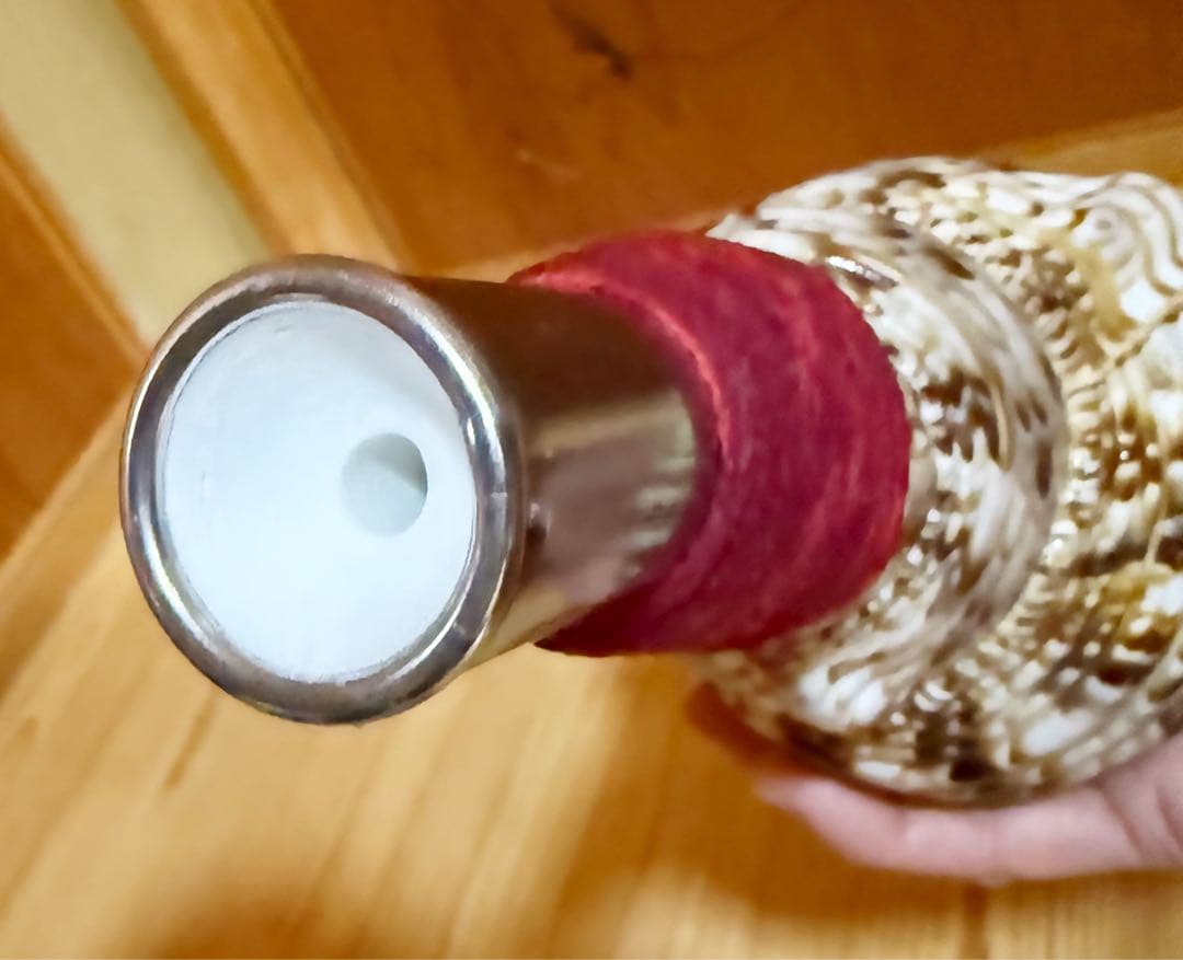 ミニ法螺貝　ほら貝　ホラガイ❣️赤紐付き