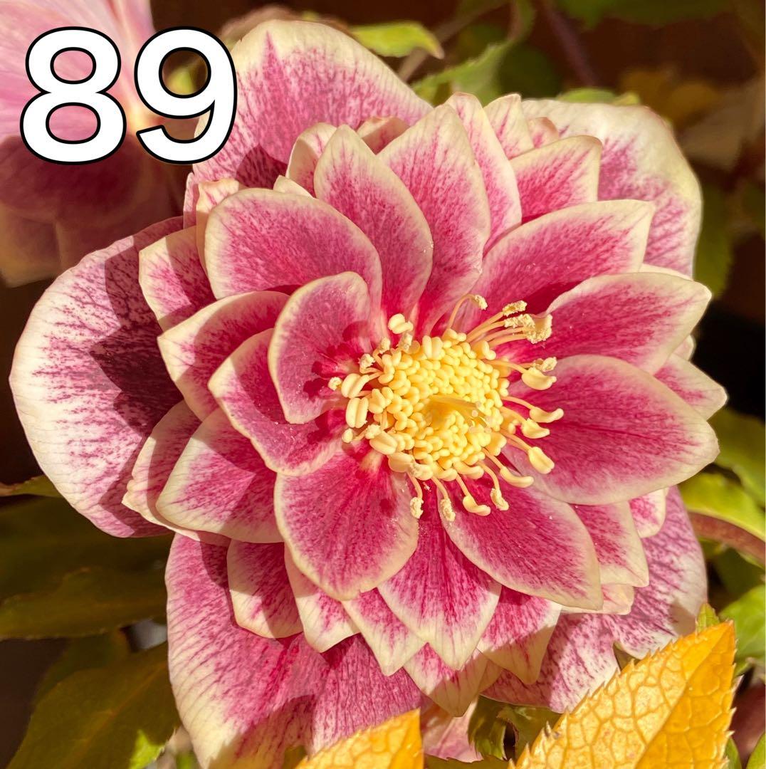 敦子様 リクエスト 4点 まとめ商品