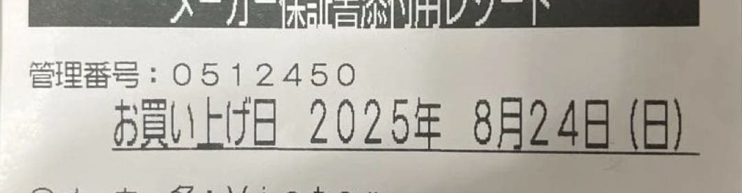 訳あり Victor HA-NP1T ワイヤレスイヤホン左耳のみ