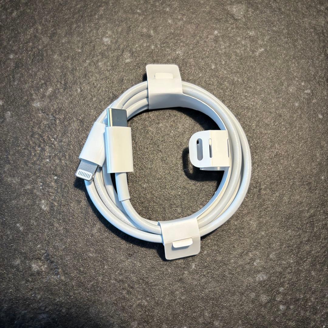 AirPods Pro 第1世代 正規品 動作確認済 A2084