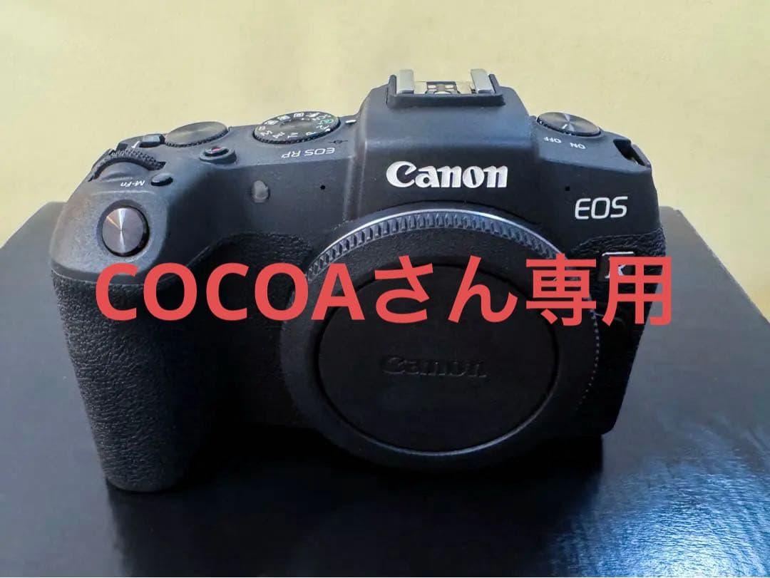 Canon EOS RP ボディ 美品｜使用半年｜防湿庫保管｜