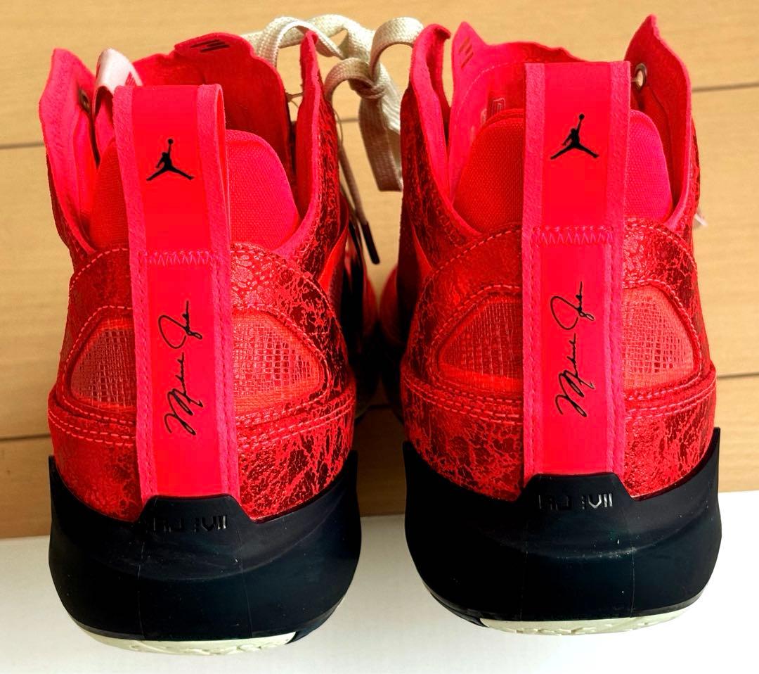 エアジョーダン 37 RUI 29センチ 八村塁バスケットボールNBAレイカーズ