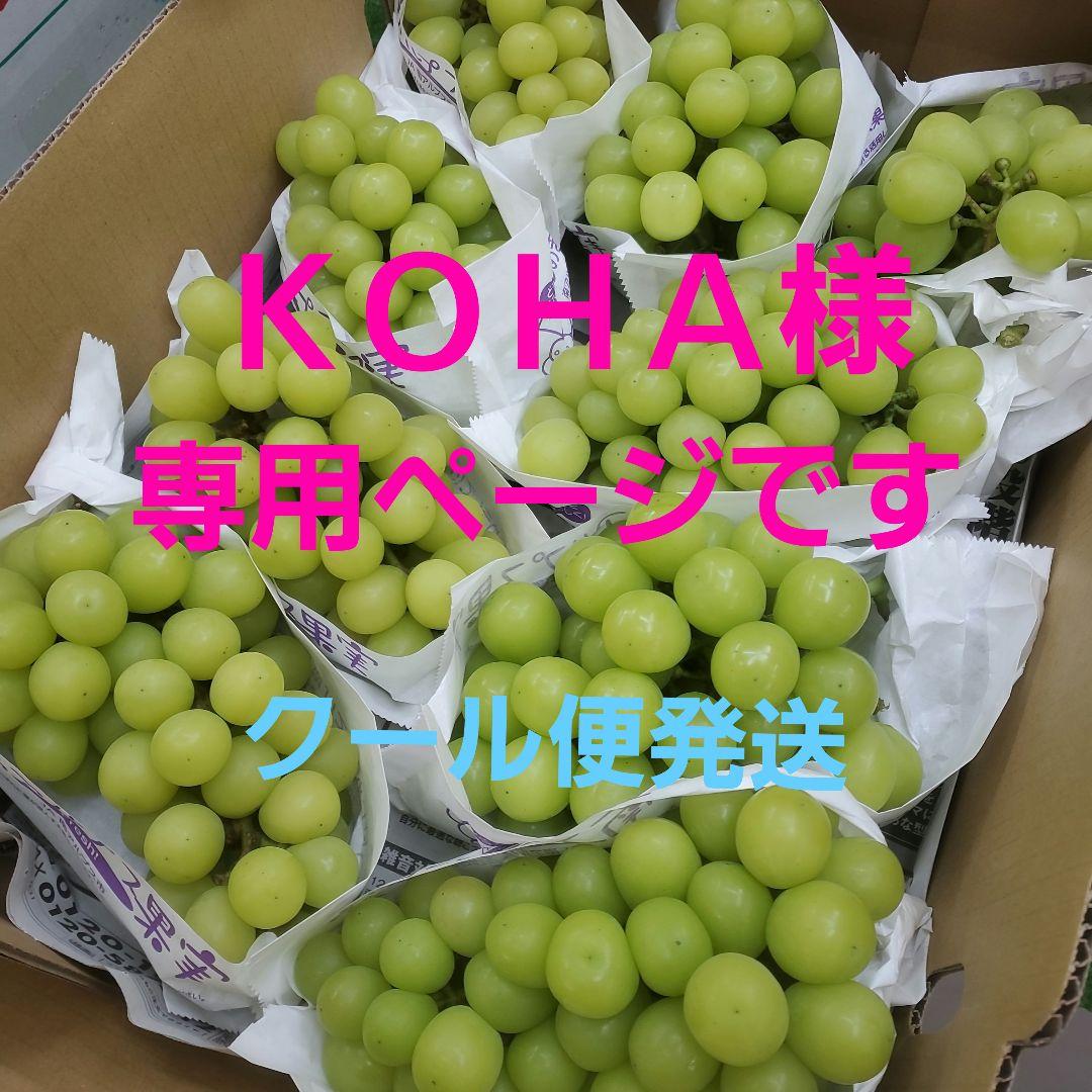 1⃣ 山梨県産 シャインマスカット １２房入り 箱込み5.3キロ
