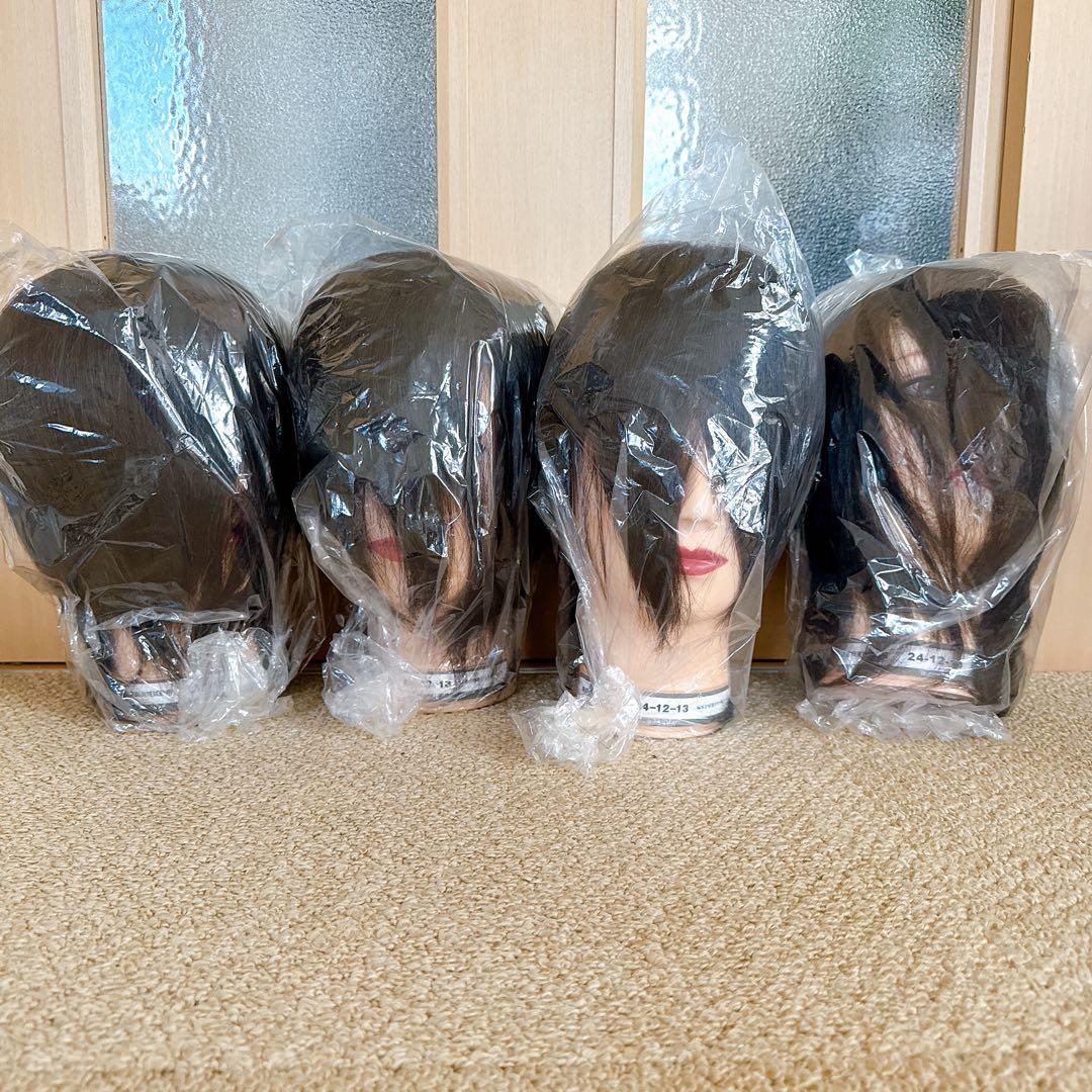 国家試験用 カットウィッグ4個セット