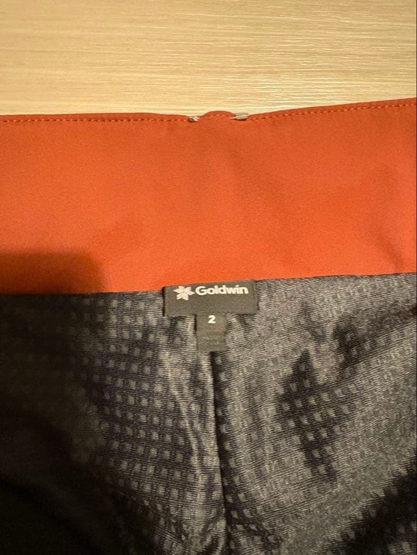 【Berry⭐︎Berry】別注非売品Goldwinスキーウェア上下M