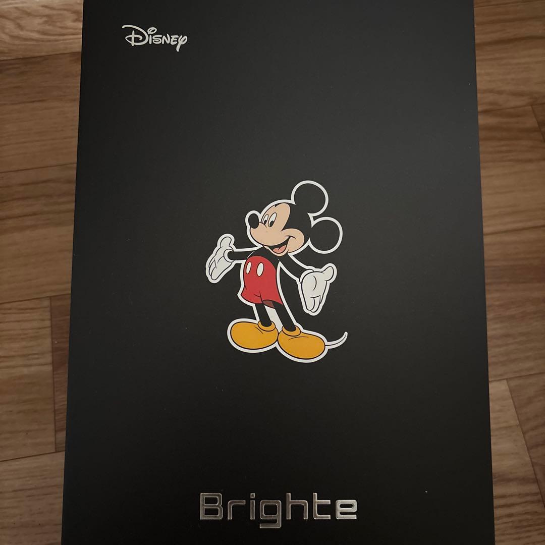 ま*す様 美品　ブライト シャワードライヤー SHOWER DRYER ナノミス