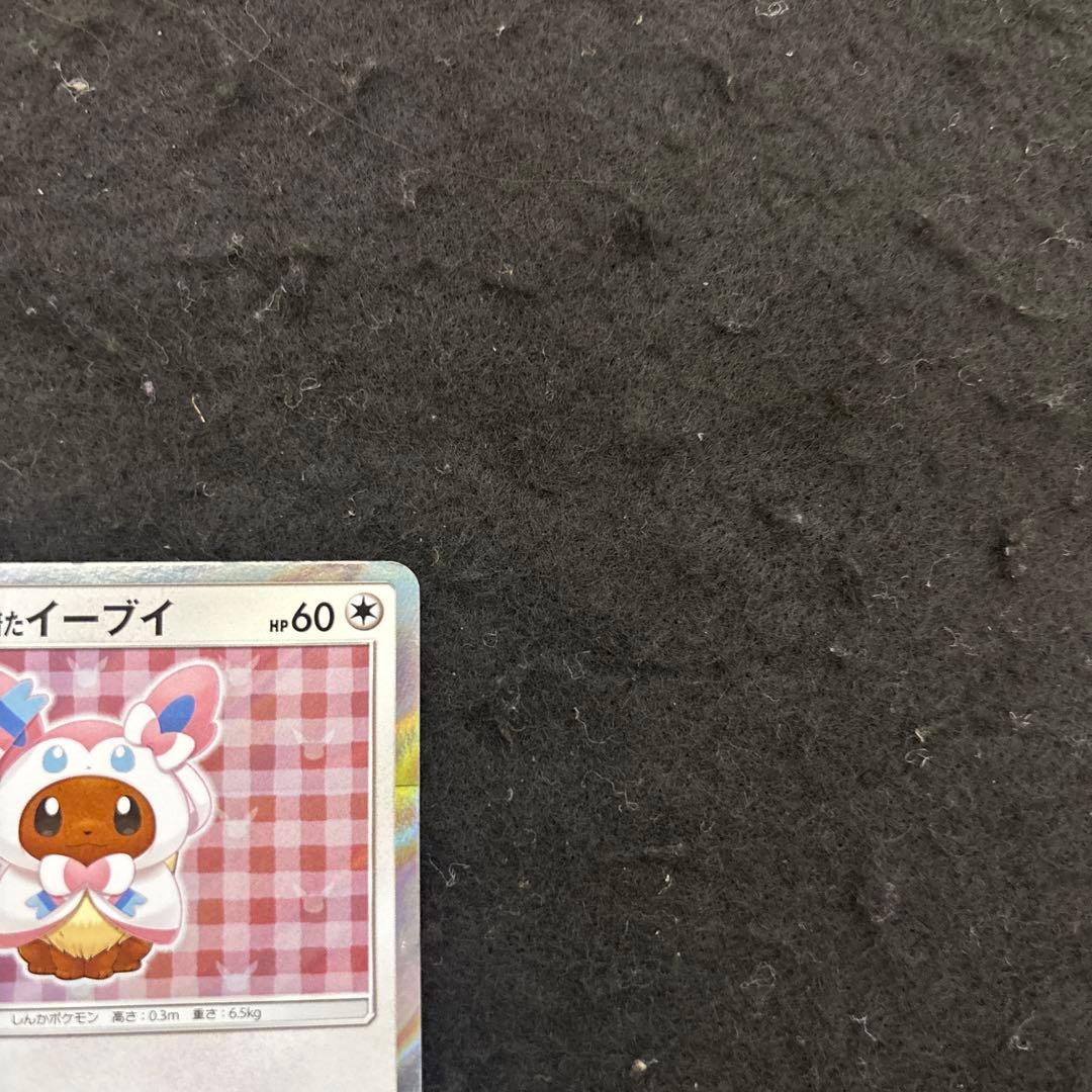 ポンチョを着たイーブイ　144/SM-Pニンフィア