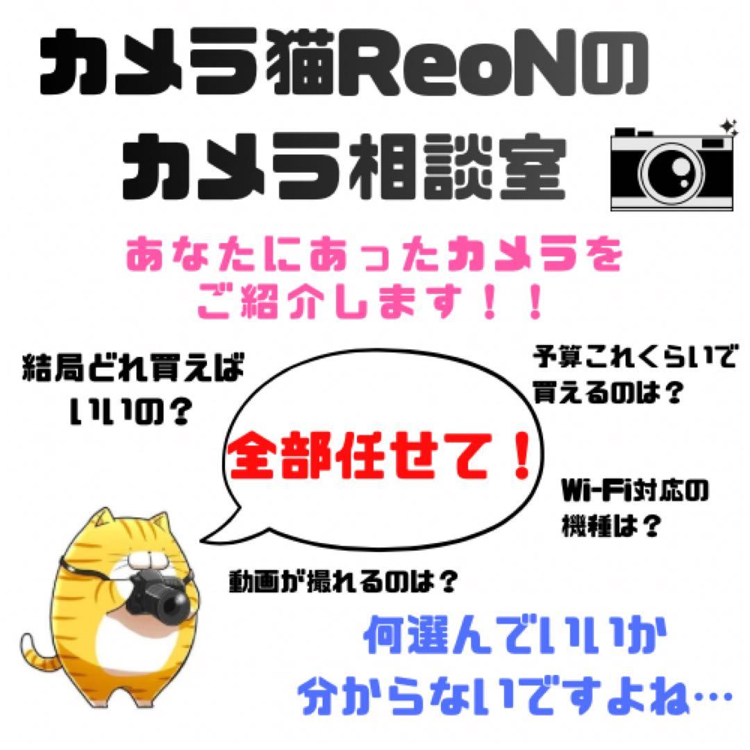 ✨カメラ猫のカメラ相談室✨あなたにあったカメラを紹介します✨CanonNikon