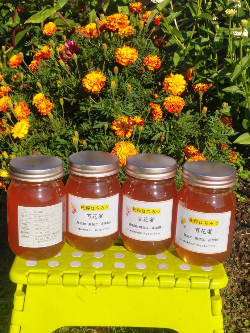 秋新蜜　日本みつばちの百花蜜（１年熟成物）　550ｇ✕4本（2.2kg）