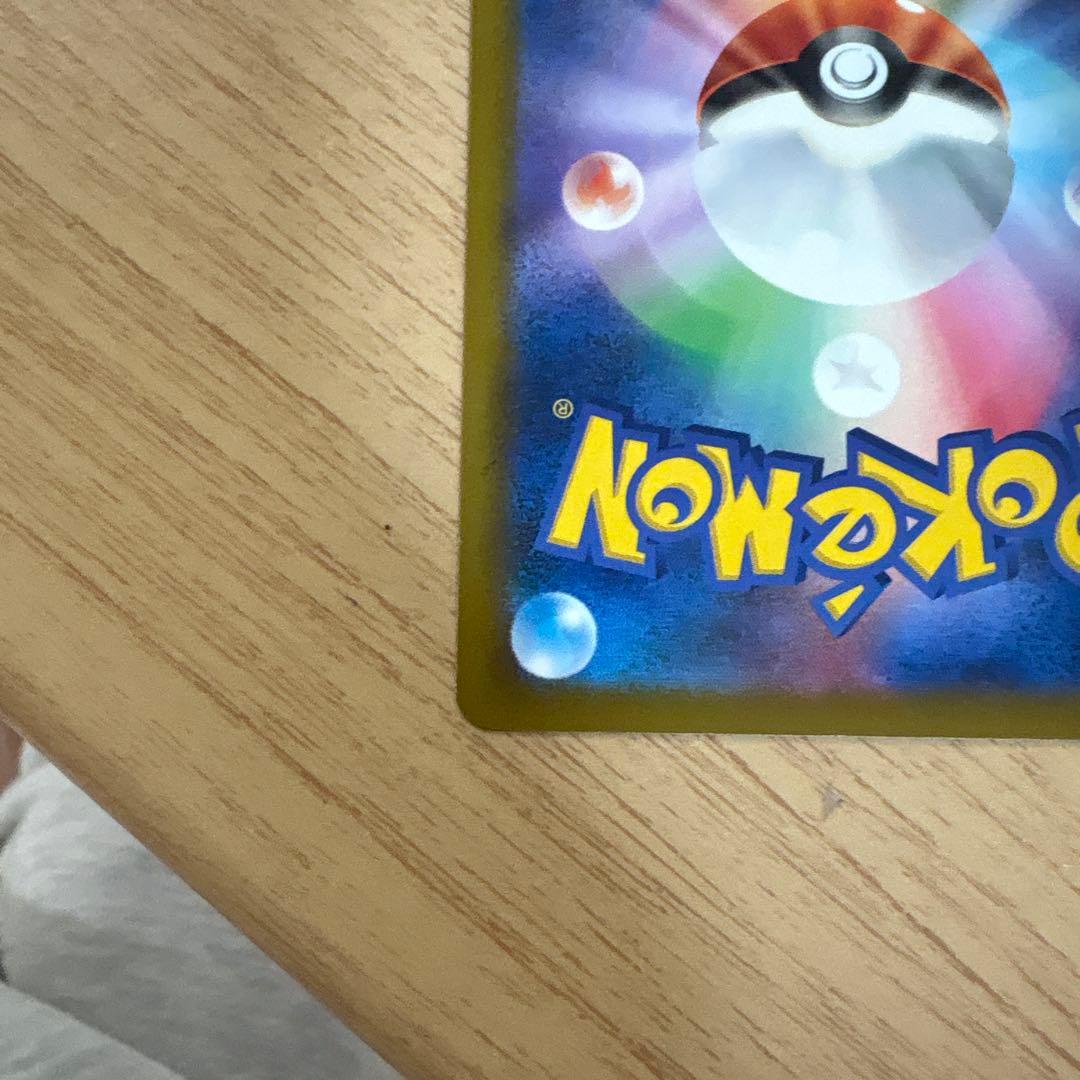 カナリィ sar 即日発送