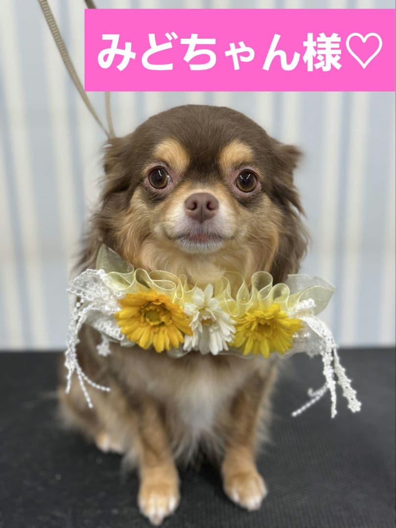 みどちゃん様♡ありがとうございます♡おまとめ♡