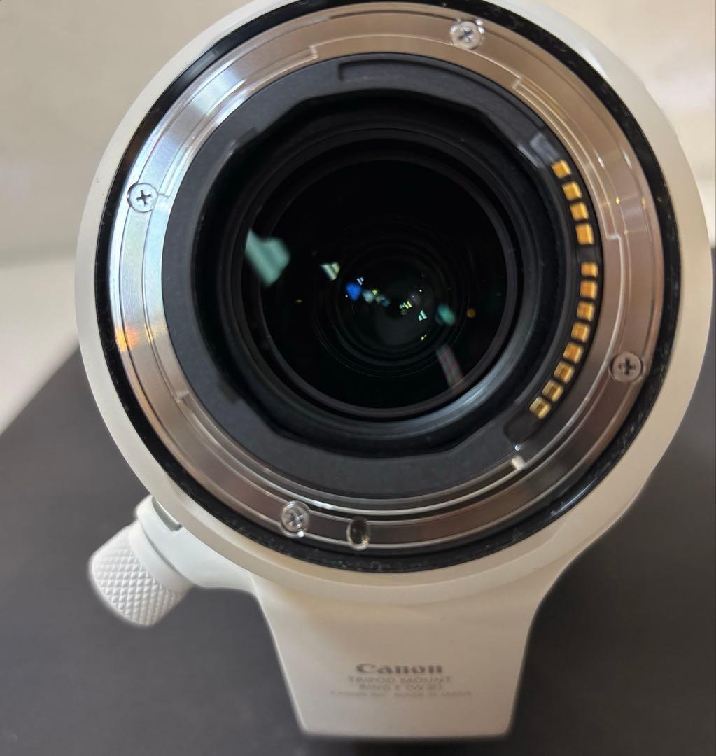 Canon キャノン RF100-500mm F4.5-7.1 L IS USM