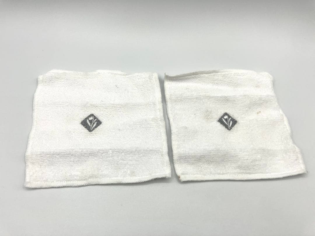 エンビロン ENVIRON モバイル 美顔器 スキンケア