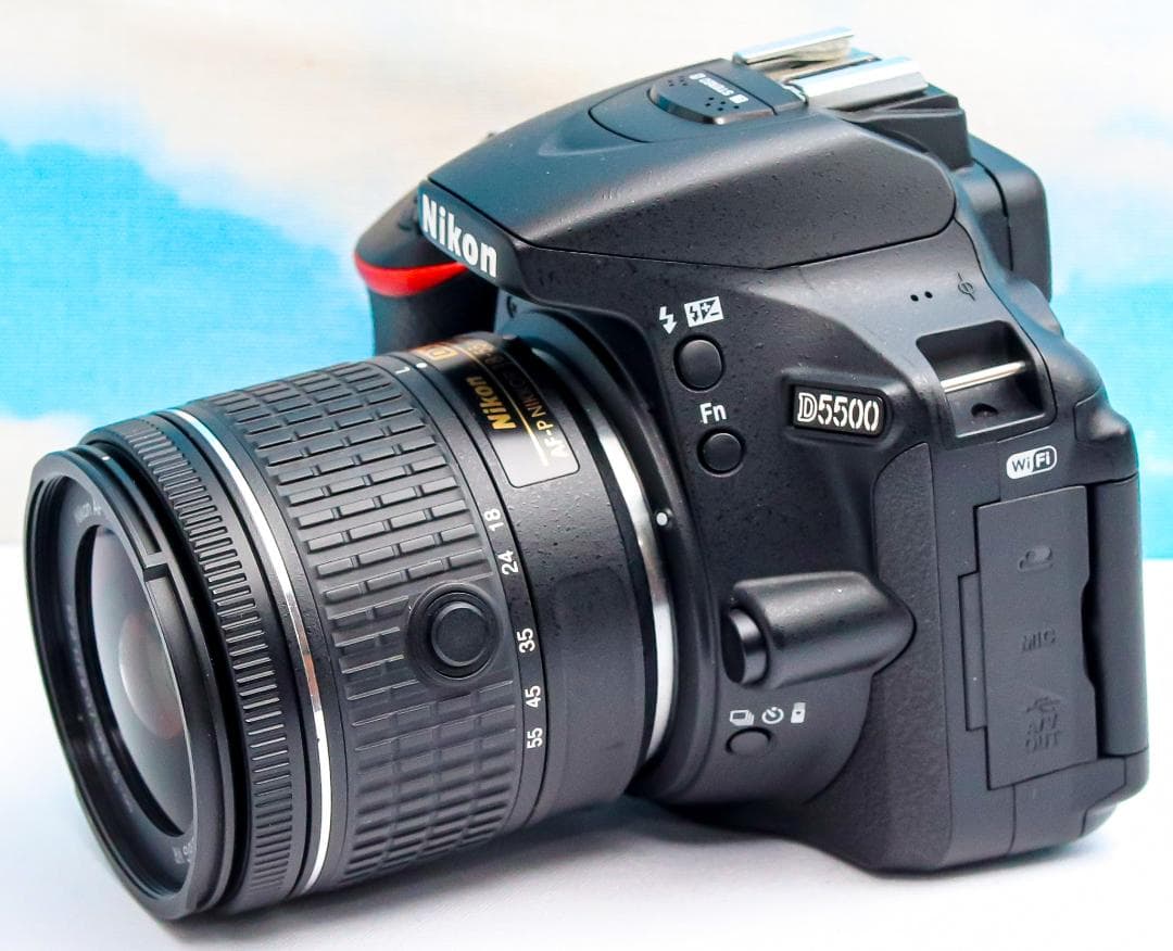 ニコン Nikon D5500 スマホ転送機能付⭐️ 高画質2416万画素⭐️