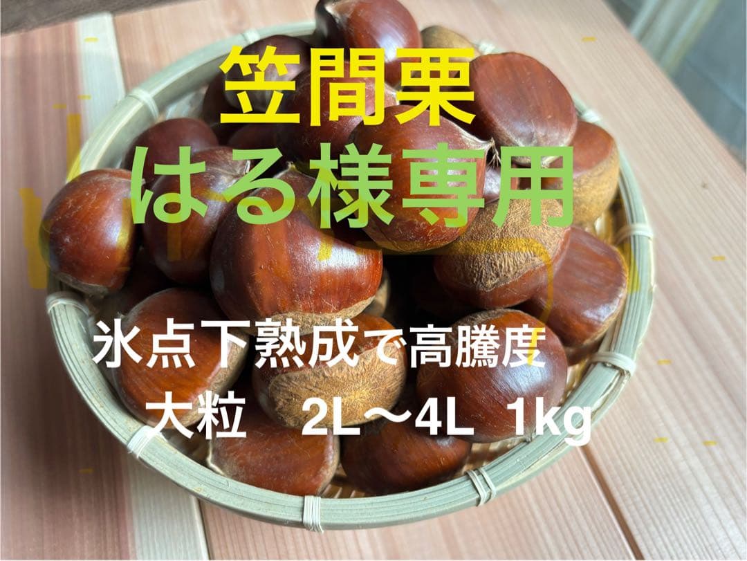 笠間栗 大粒 2L〜4L 5kg