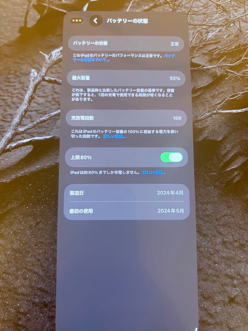 iPad Pro 11inch M4 Wi-Fi 256GB スペースブラック