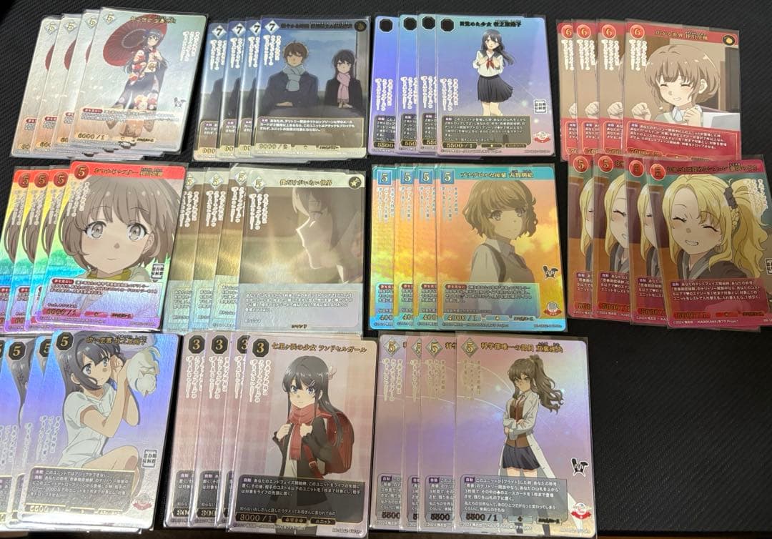 ビルディバイド 青春ブタ野郎　青ブタ　sr+セミ4コン