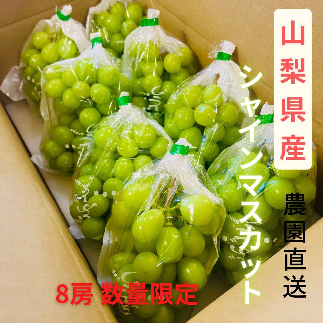 【シャインマスカット8房】山梨県産シャインマスカット 化粧箱送料込