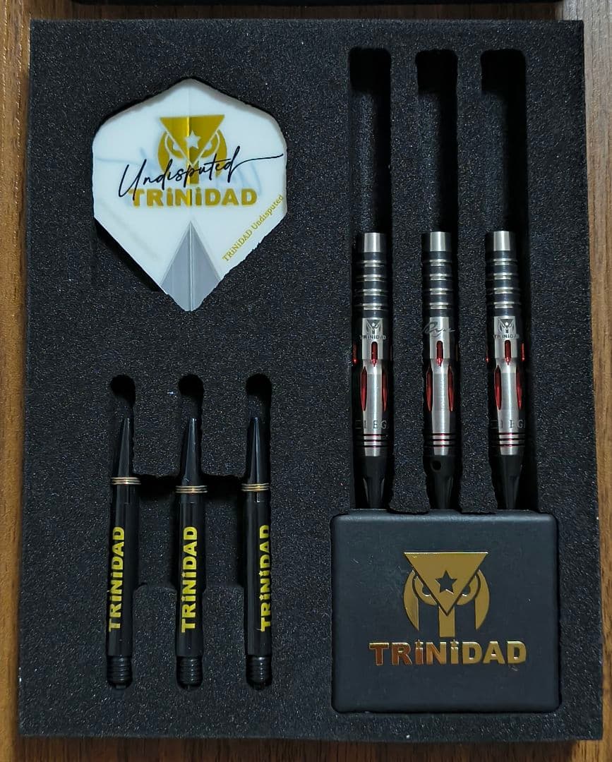 ひ*た様 トリニダード×リュウダーツ AKARI レガシー2 エスダーツ限定モデ