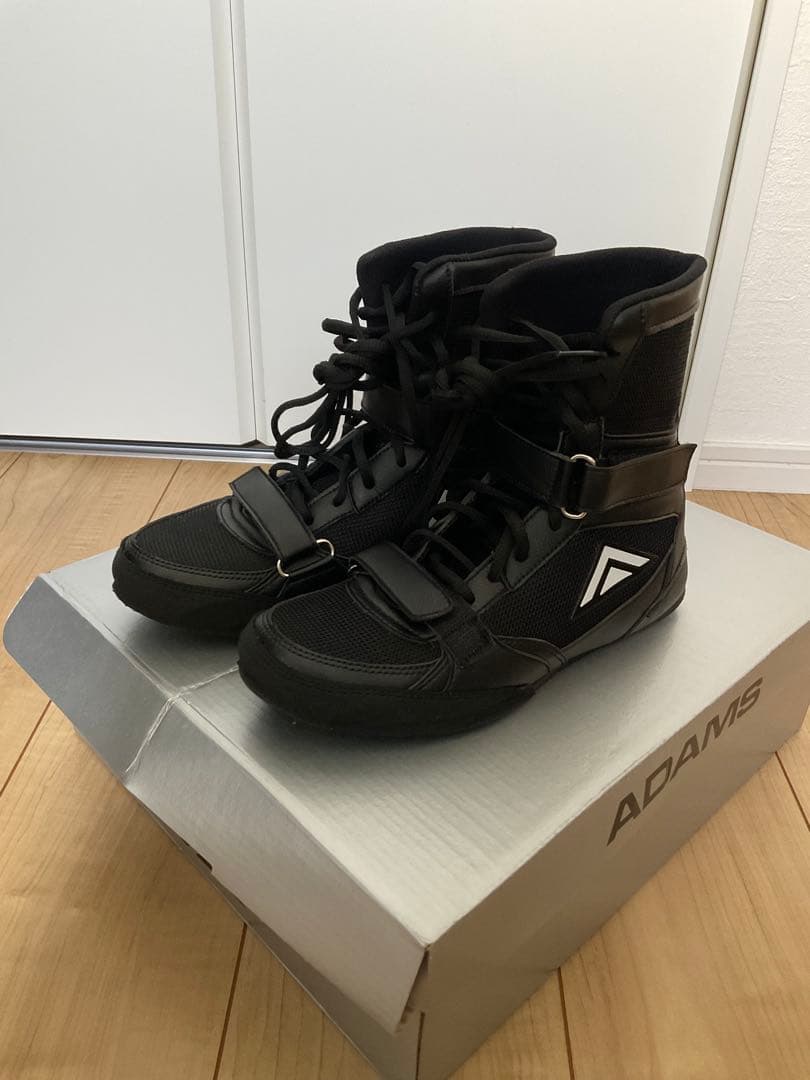 ボクシング douraku1967