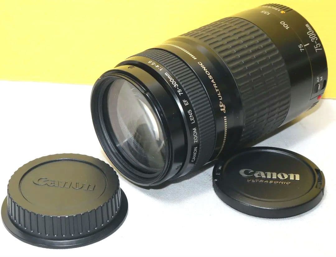 ⭐CANON EF 75-300mm F4-5.6 レンズ ⭐送料無料❤️美品