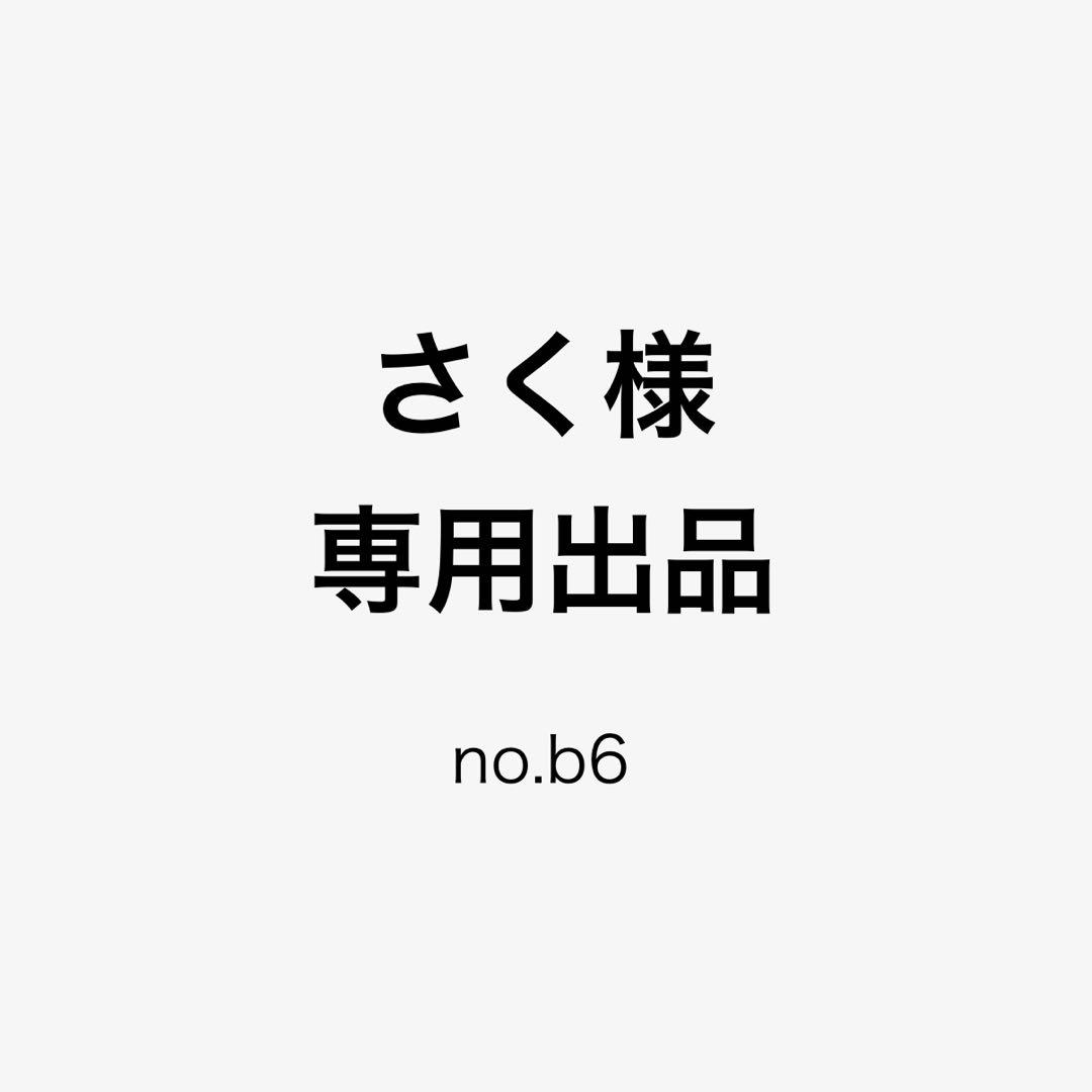 さく出品 no.b6