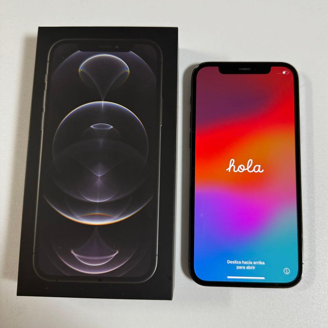 iPhone 12 pro グラファイト 256 GB docomo