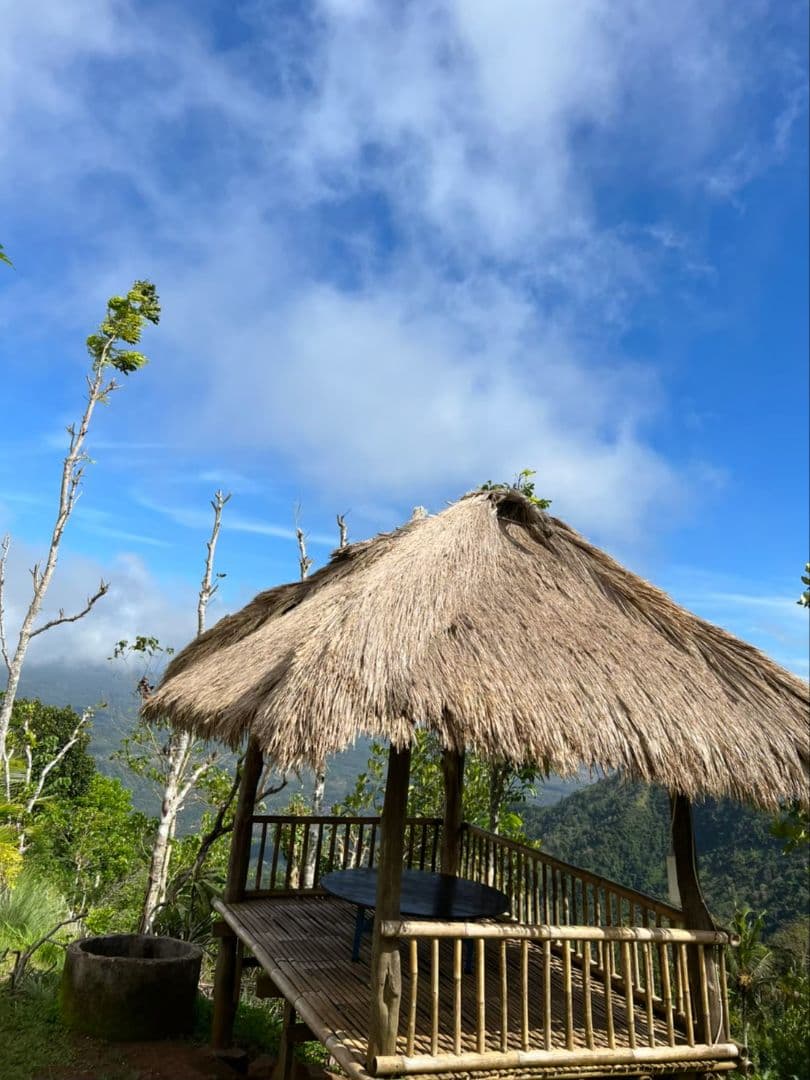 御礼【7個セット】特別販売　バニラペースト100gブルボン種　楓や