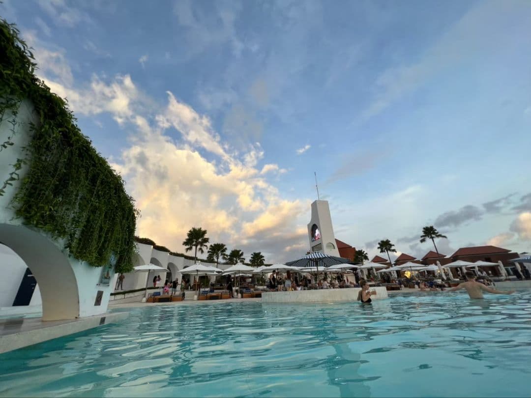 御礼【7個セット】特別販売　バニラペースト100gブルボン種　楓や