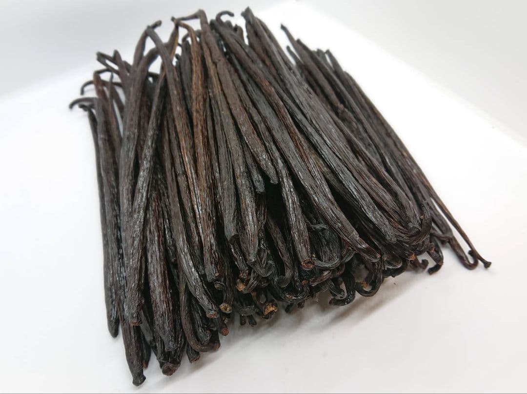 御礼【7個セット】特別販売　バニラペースト100gブルボン種　楓や