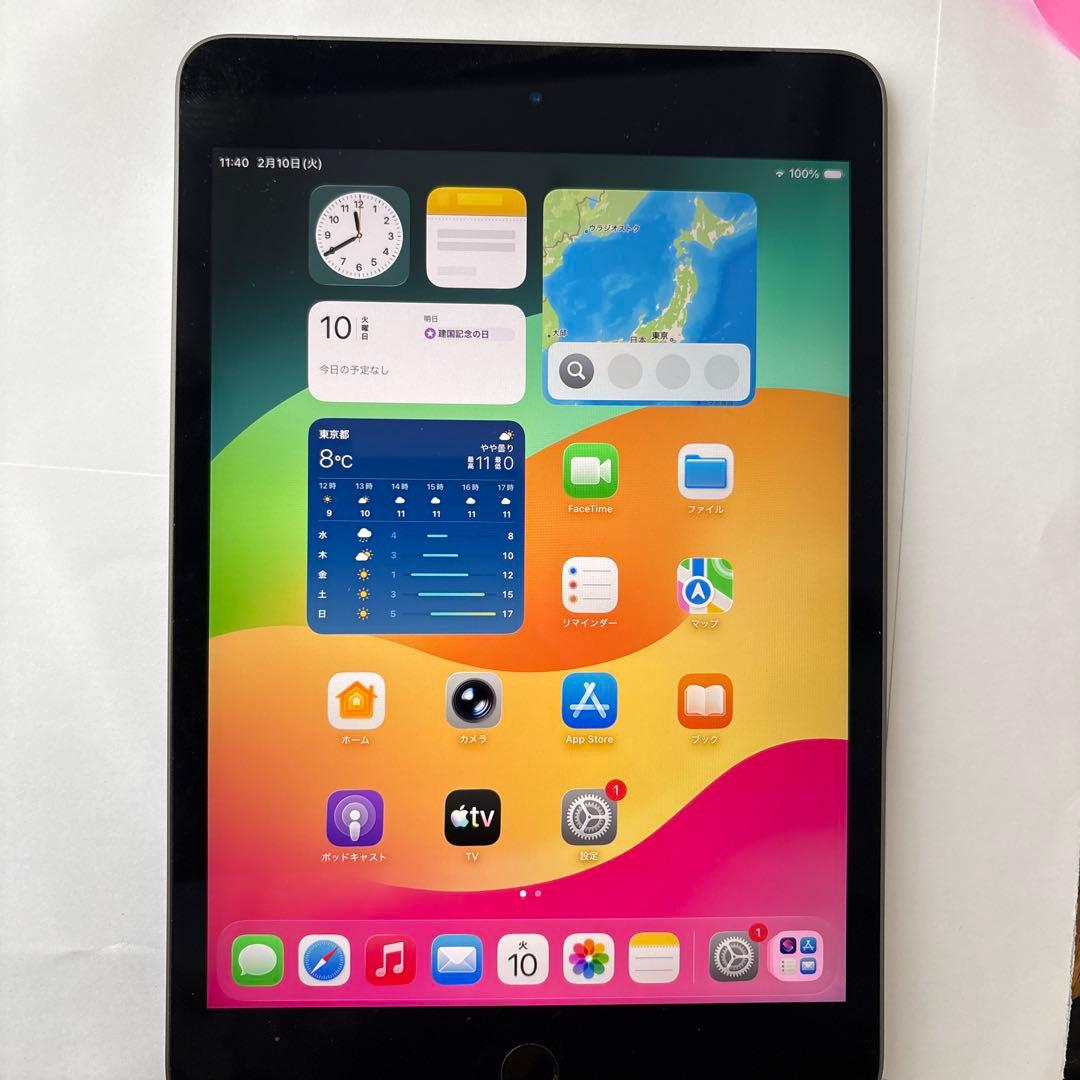 iPad mini 5th Cellular 64GB スペースグレイ