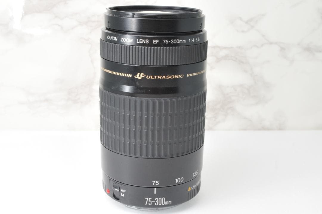 Canon EF 75-300mm F4-5.6 USM⭐️望遠レンズ キャノン