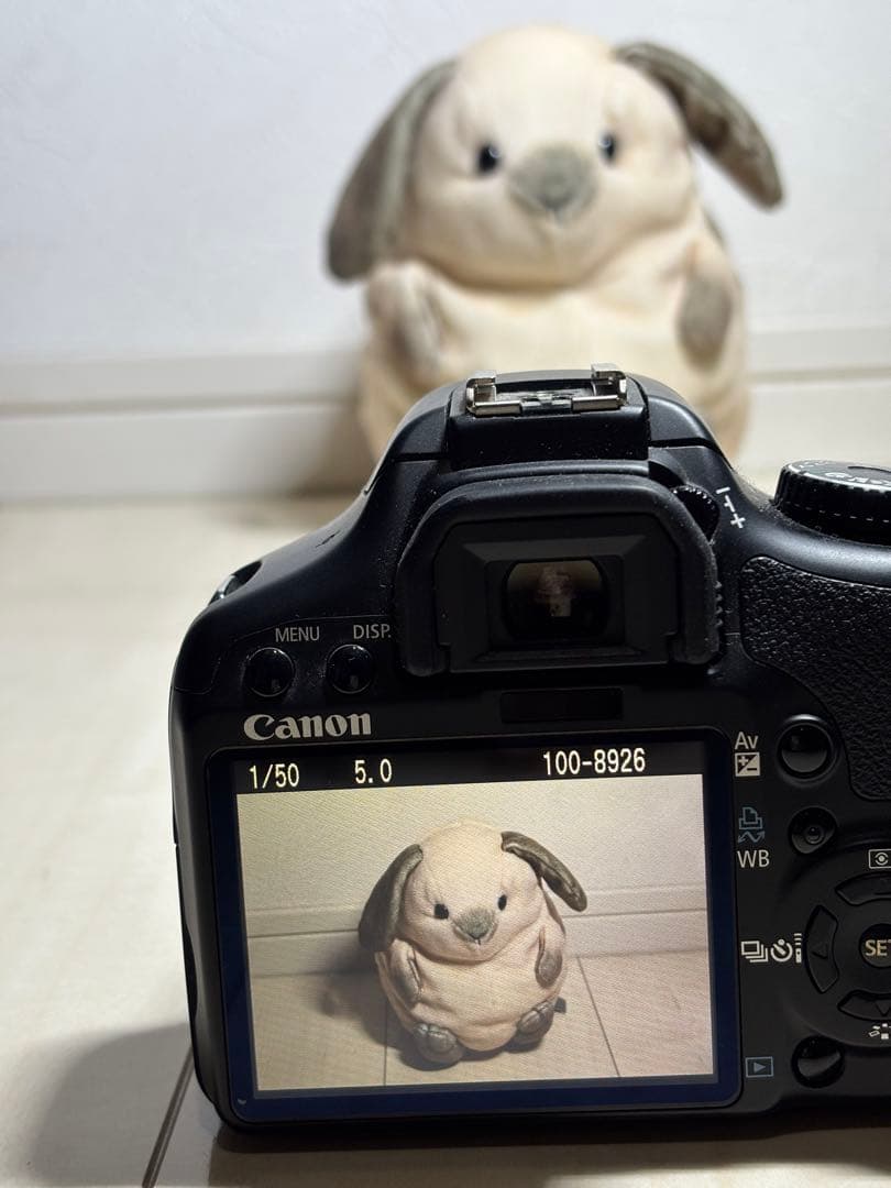 Canon EOS Kiss X2 美品 シャッター数899回 一眼レフカメラ